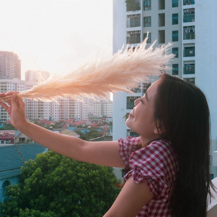 Landscape day trip near Boca Raton, United States